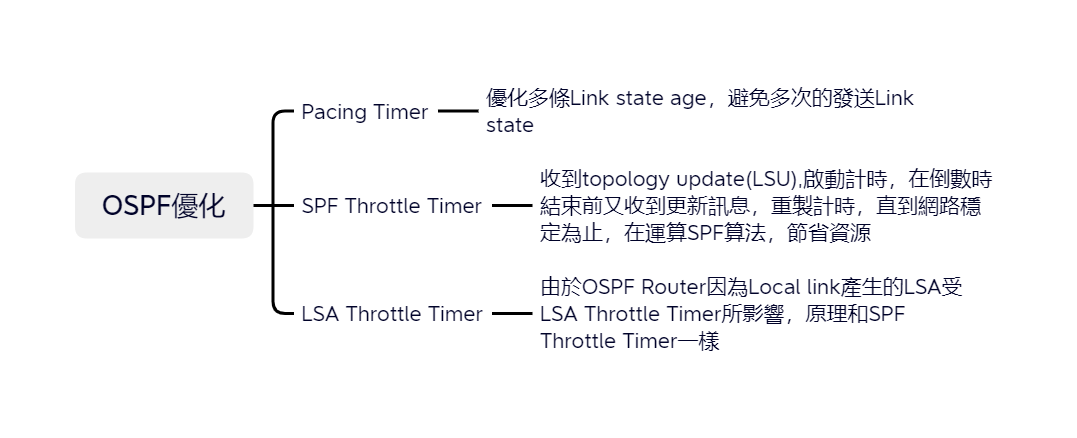 13-OSPF優化
