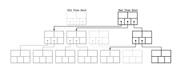 copy-on-write-path